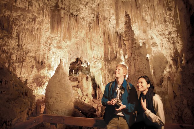 2 Day Rotorua Experience: Waitomo Caves, Maori Culture & Ziplining From Auckland - Accommodation and Meals