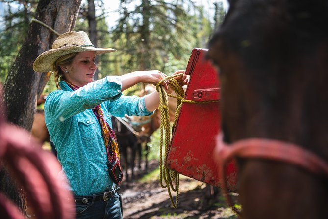 2-Day Sundance Overnight Backcountry Lodge Trip by Horseback - Return Journey to Banff