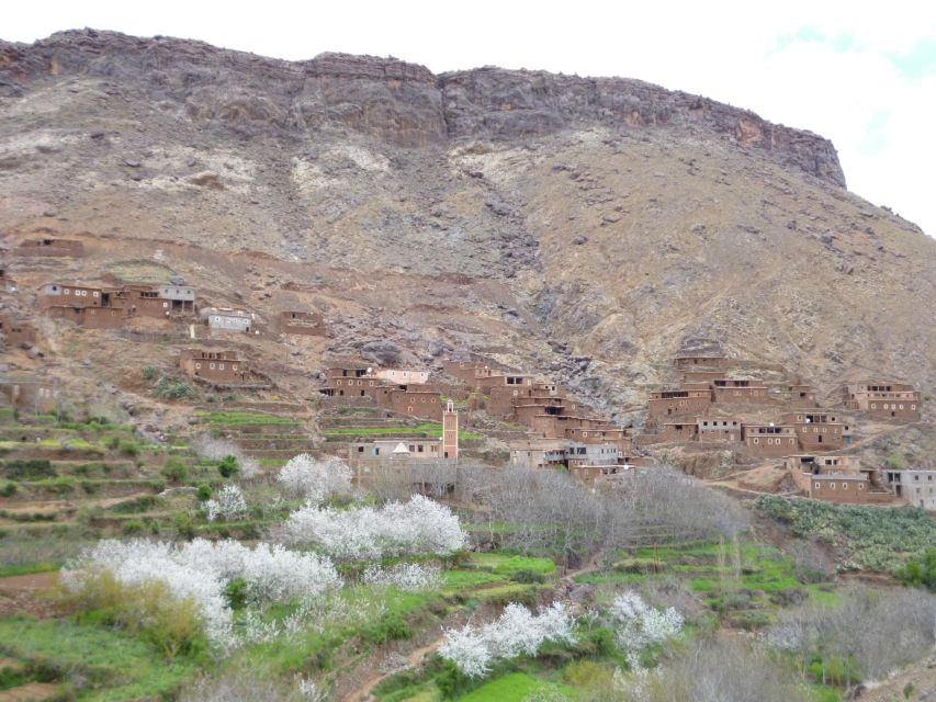 2 Day Trek In High Atlas Mountains & Berber Villages - Common questions