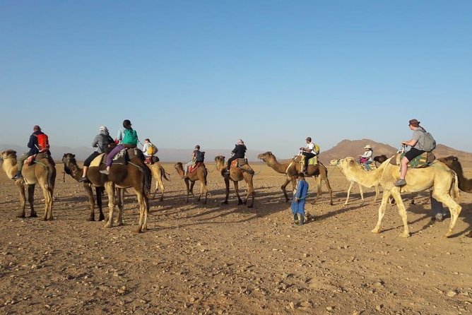 2 Days 1 Night To Zagora Desert From Marrakech - Itinerary Overview