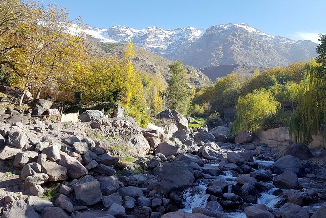 2 Days Private Hiking Toubkal Mountain From Marrakech - Meal Inclusions