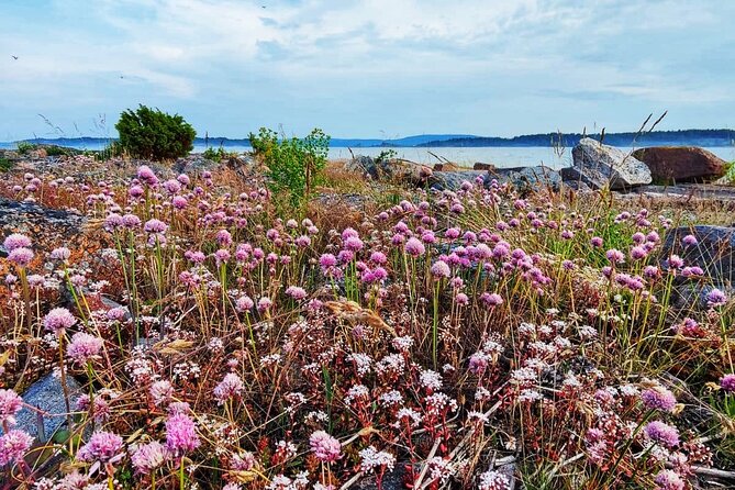 2-Days Self Guided Kayaking in the Aland Islands - Packing List