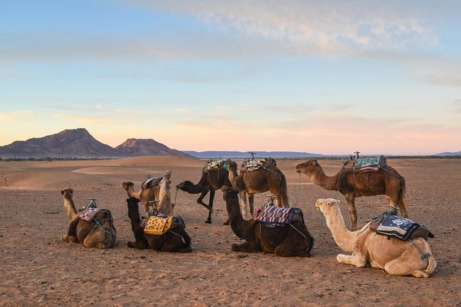 2-Days Zagora Desert Tour From Marrakech - Common questions