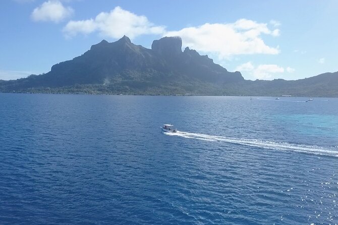 2 Dives in the Morning for Certified Divers in Bora Bora - Dive Safety and Certification Requirements