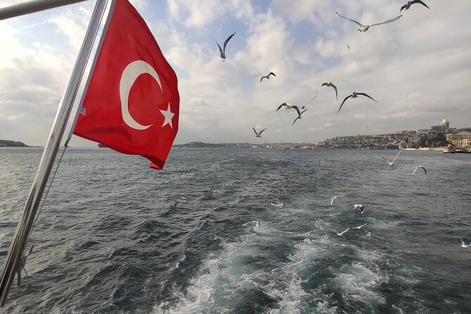 2-Hour Bosphorus Cruise in Istanbul With Guide - Visitor Reviews and Testimonials
