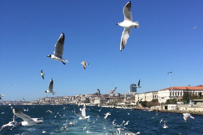 2-Hour Private Luxury Yacht Cruise on Bosphorus With Transfers - Additional Information