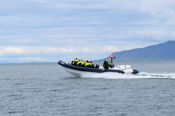 2-Hour RIB Boat Whale Watching Tour From Reykjavik - Tour Highlights and Excitement