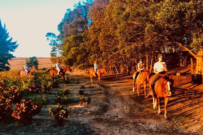 2 Hour Vineyard Trail Ride - Booking Process Overview