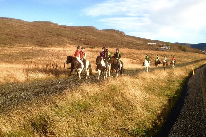 2 Hours Private Horse Riding to Lake Hafravatn, Reykjavík - Mos - Directions