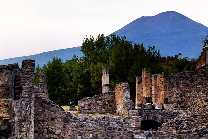 2 Hours Private Tour in Pompeii With Archaeologist - Booking and Pricing Details