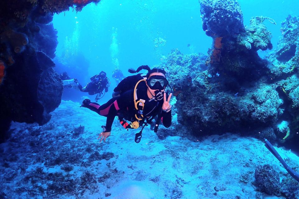 2 Tank Morning Cozumel Dives for Certified Divers - Transportation and Accessibility