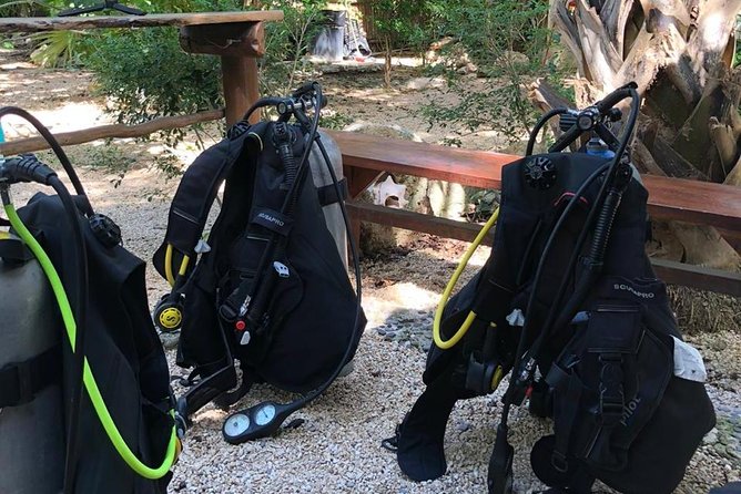 2 Tanks Cenote Diving Adventure in Tulum for Certified Divers - Transportation Details