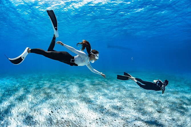 24h Snorkel Rental Equipment, Discover Tenerife on Your Own! - Understanding the Cancellation Policy