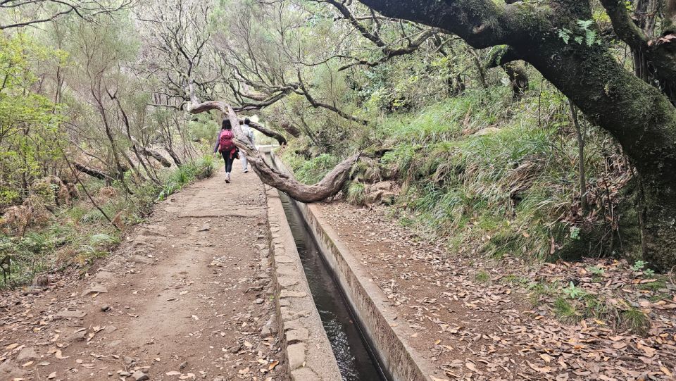 25 Fontes Levada Hike - Rabaçal (Calheta) - Common questions