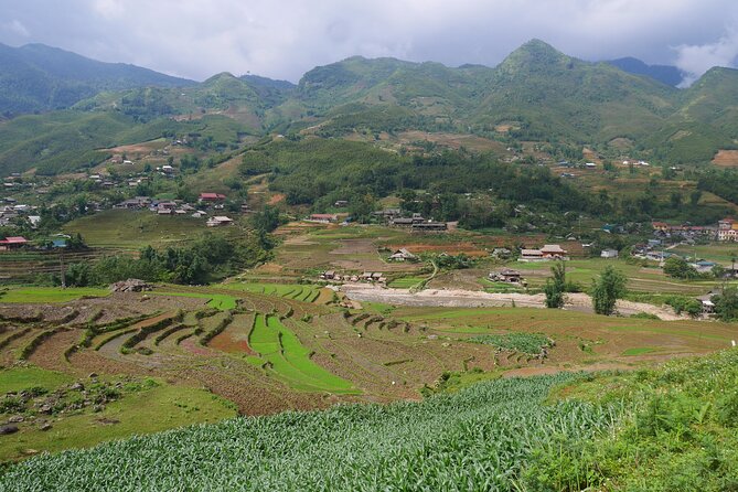 2D1N Buffalo Trek by Hmong Sister House and Trekking - Overnight Stay in Authentic Accommodations