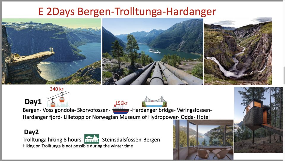 2days Tour to Hardanger and Flåm or Sognfjord Glacier Flexib - Language Support and Communication