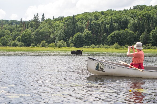 3-Day Algonquin Park Canoe Trip - Last Words