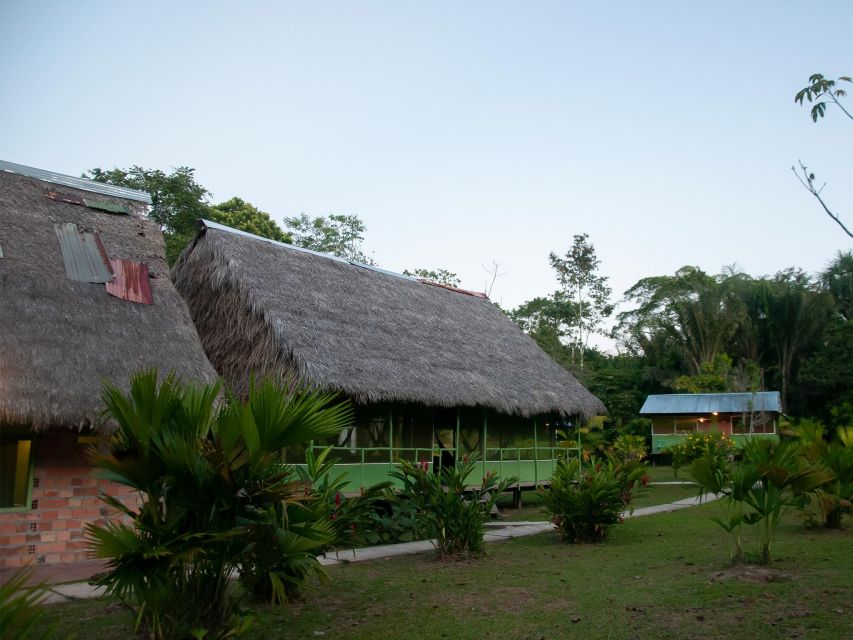 3-Day All Inclusive Guided Jungle Tour From Iquitos - Guided Tours and Activities