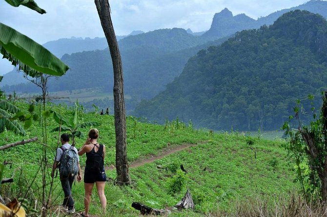 3-Day Chiang Dao Mountain Trek - Guide Expertise and Insights