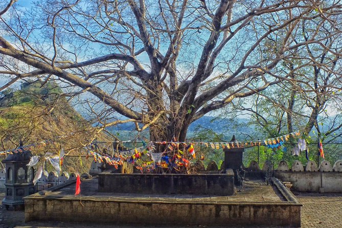 3 Day SriLanka Cultural Tour:Dambulla/ Sigiriya/ Polonnaruwa / Minneriya/ Kandy - Serene Beauty of Kandy