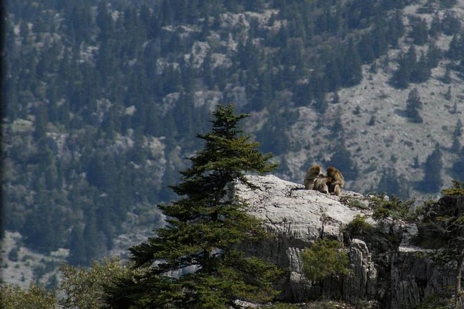 3-Day Trek Through Talassemtane National Park From Chefchaouen - Safety Tips and Emergency Procedures