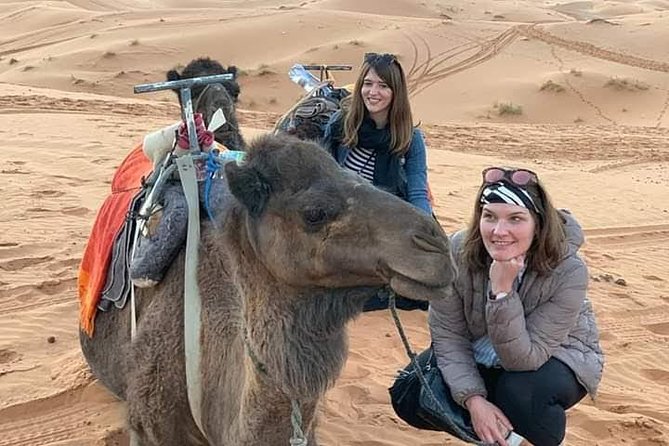 3 Days Luxury Private Desert Tour From Fez to Marrakech - Contact and Support