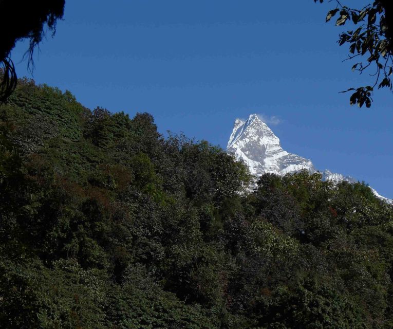 3 Days Poon Hill Trek With Alpine Eco Trek - Last Words