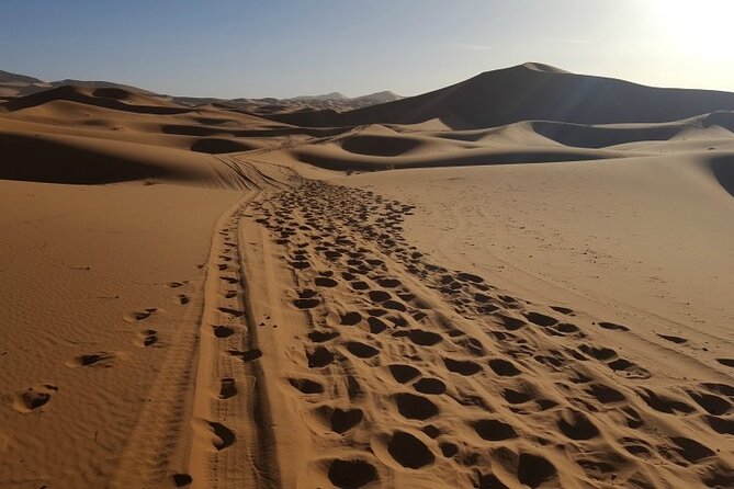 3 Days Private Desert Tour From Fez To Marrakech - Last Words