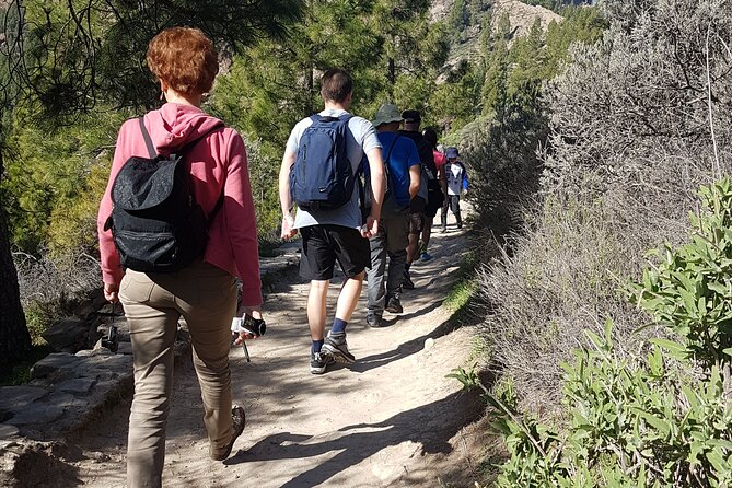 3-Hour Hiking Experience in Roque Nublo - Weather Considerations