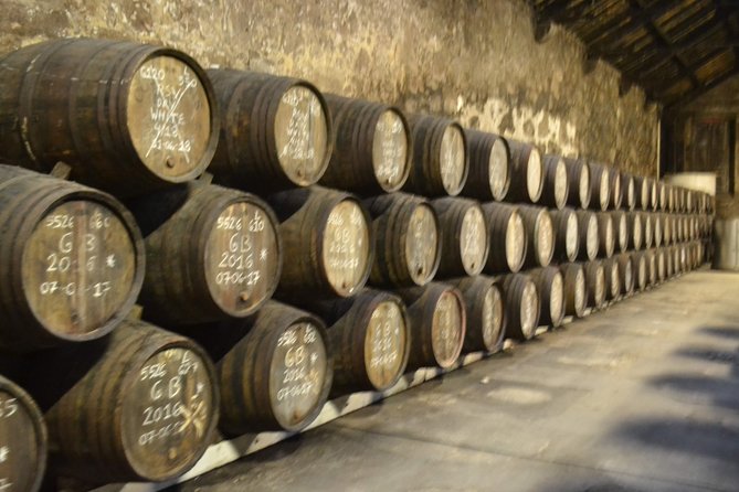 3-Hour Port and Douro Wines Tasting Tour With 10 Tastings - Traveler Reviews and Ratings