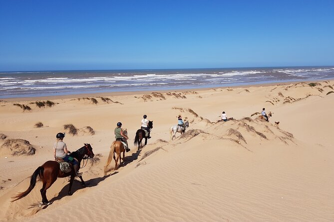 3-Hour Private Ride Between Beach and Dunes - Contact Information
