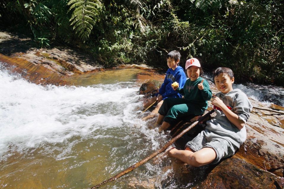3-Hours Trekking Tour to Hidden Waterfall and Sturgeon Farm - Availability and Location