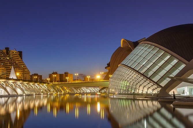 3 Hours Valencia City Bike Tour With a Tasty Surprise - Traveler Guidelines