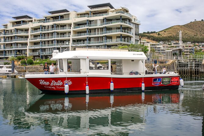 30min Harbour Boat Cruise Cape Town - Highlights