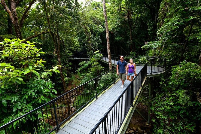 4 Day Cairns: Daintree Rainforest, Reef, Kuranda & Paronella Park - Last Words