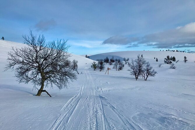 4-Day Small-Group Snowshoe Trek From Rovaniemi - Last Words