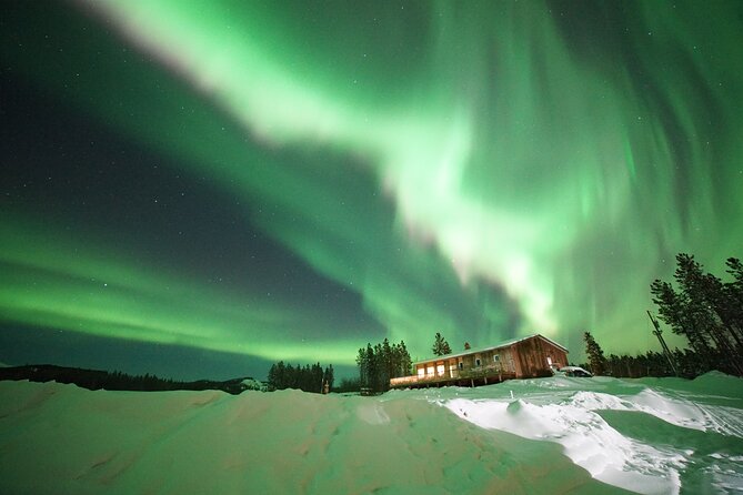 4 Day Tour in Aurora Cabin From Whitehorse - Copyright and Contact Information