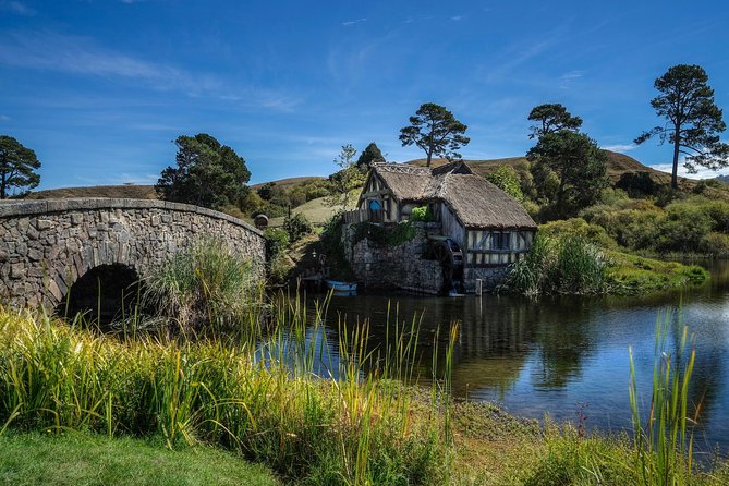 4-Day Wellington to Auckland via Rotorua Tour - Cancellation Policy