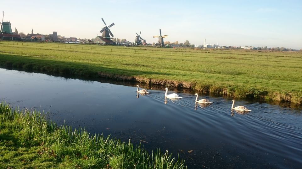 4-Hour Tour of the Windmills in Zaanse Schans - Last Words