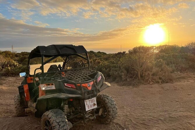 40% Off-Road Buggy Tour in Tenerife - 2 Hours - Booking Details