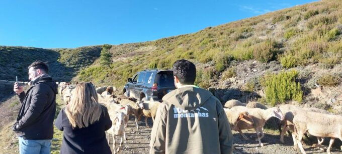 4x4 Serra Da Estrela - Last Words