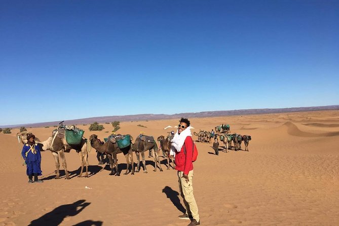 4x4 South Morocco and Sahara Desert Private Tour - Activity Schedule