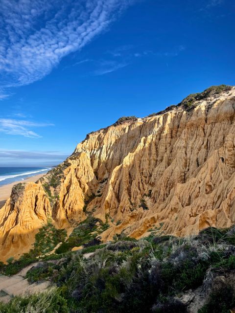 4X4 Tour Through the Secret Beaches of Melides - Additional Information and Services