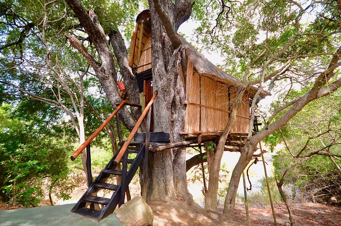 5 Day Lodge And Treehouse Kruger National Park Safari