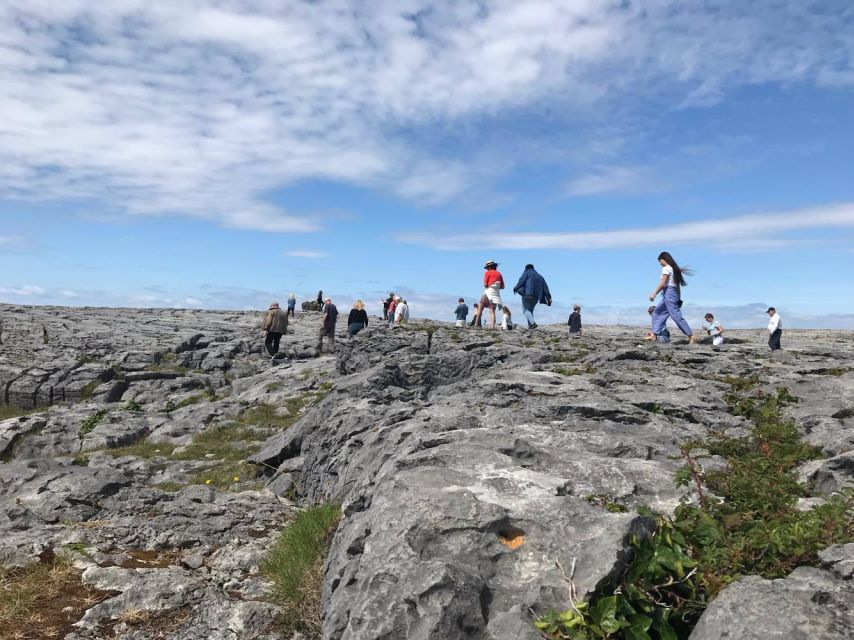 5-Day Tour of West Ireland: Blarney Stone & Cliffs of Moher - Logistics and Meeting Point Information