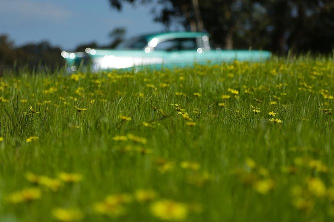 56 Chevrolet 6-Hour Yarra Valley Indulgence Classic Car Private Tour (4 Person) - Common questions
