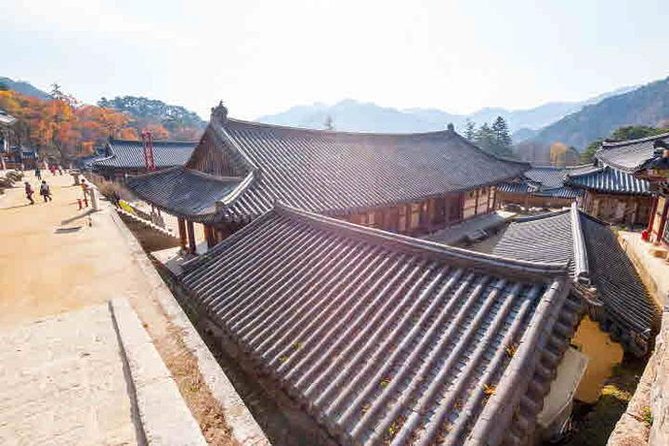 5D4N Korea Cultural Heritage Immersion Private Tour - Last Words