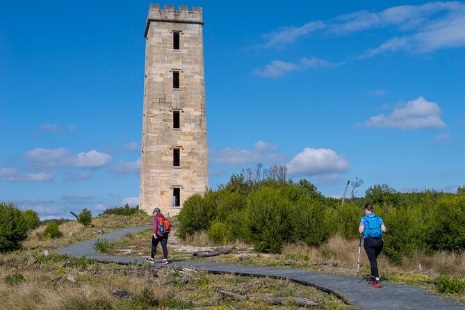 5hr Eden Tour in Nature; Beach, Lookout & National Park - Customer Reviews