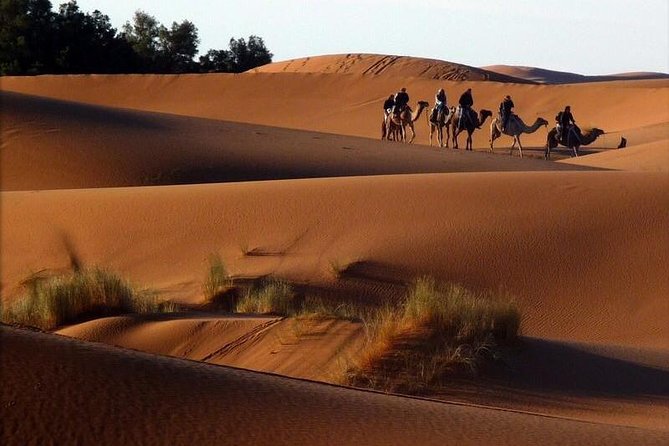 6 Days: From Casablanca Morocco Desert - Cultural Immersion
