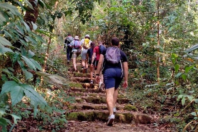 6-Hour Doi Pui Summit Hike in Doi Suthep National Park From Chiang Mai - Tour Inclusions